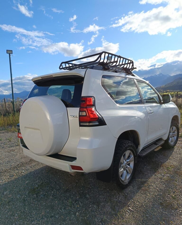 AUTO TOYOTA LAND CRUISER 2019 4