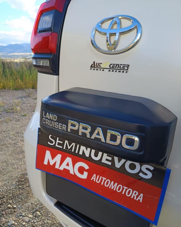AUTO TOYOTA LAND CRUISER 2019 5