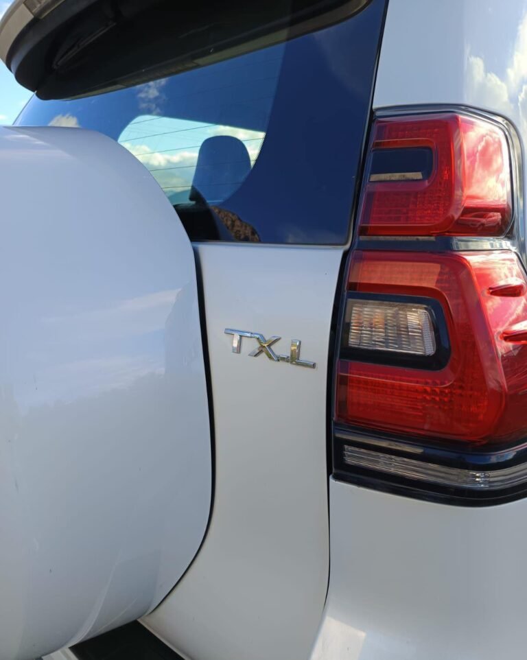 AUTO TOYOTA LAND CRUISER 2019 7